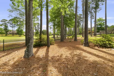 Exterior - 110 Willow Crest Cir, Brandon, MS 39047 photo 8 of 12