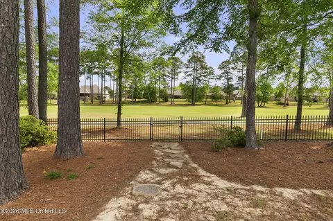 Exterior - 110 Willow Crest Cir, Brandon, MS 39047 photo 10 of 12