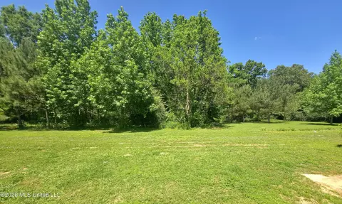 Exterior - 131 Campbell Rd, Jayess, MS 39641 photo 9 of 10