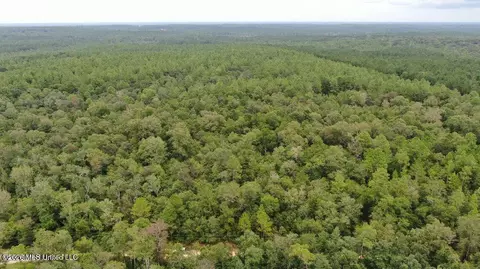 Busby Road, Vancleave, MS 39565 photo 6