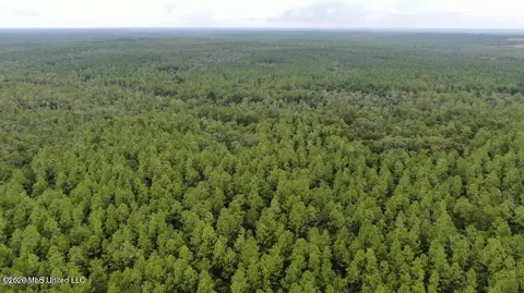 Busby Road, Vancleave, MS 39565 photo 8