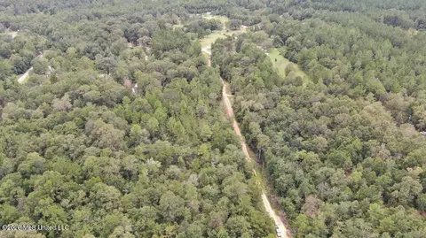 Busby Road, Vancleave, MS 39565 photo 7