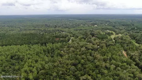 Busby Road, Vancleave, MS 39565 photo 3