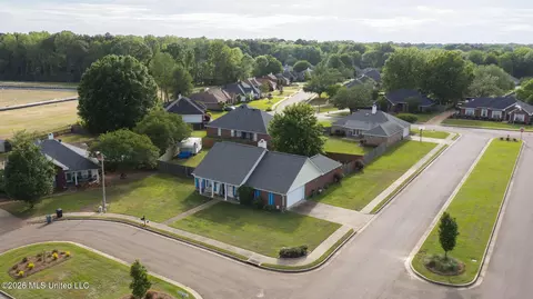 View/Area - 1113 Orchardview Cv, Brandon, MS 39042 photo 3 of 6