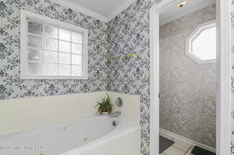 Bath - 1113 Orchardview Cv, Brandon, MS 39042 photo 2 of 4