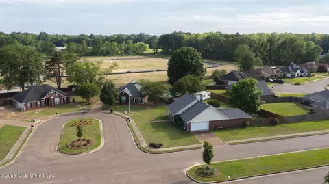 View/Area - 1113 Orchardview Cv, Brandon, MS 39042 photo 4 of 6