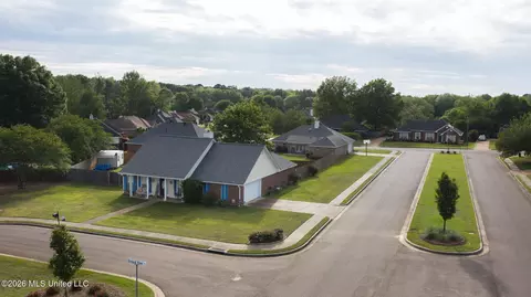 View/Area - 1113 Orchardview Cv, Brandon, MS 39042 photo 2 of 6