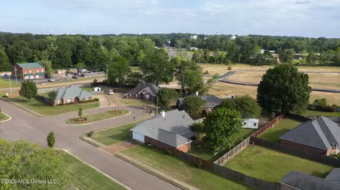 View/Area - 1113 Orchardview Cv, Brandon, MS 39042 photo 5 of 6
