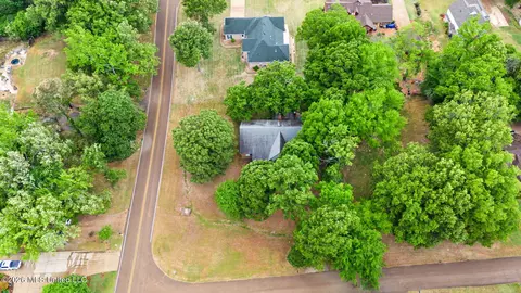 View/Area - 2601 Birch Island Dr, Nesbit, MS 38651 photo 2 of 5