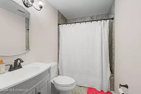 Bath - 2601 Birch Island Dr, Nesbit, MS 38651 photo 3 of 3