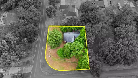 View/Area - 2601 Birch Island Dr, Nesbit, MS 38651 photo 3 of 5