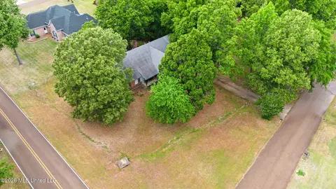 View/Area - 2601 Birch Island Dr, Nesbit, MS 38651 photo 1 of 5