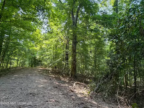 Tanyard Road, Hernando, MS 38632 photo 3