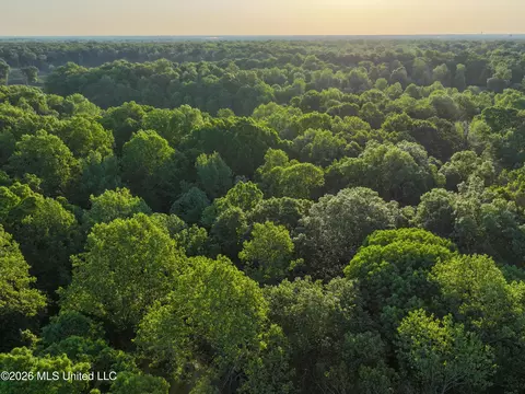 Tanyard Road, Hernando, MS 38632 photo 8