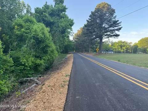 Tanyard Road, Hernando, MS 38632 photo 6