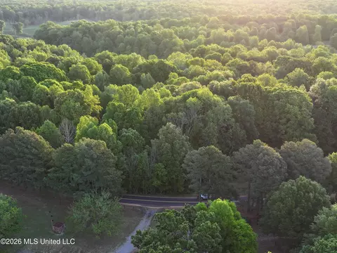 Tanyard Road, Hernando, MS 38632 photo 10