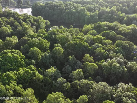 Tanyard Road, Hernando, MS 38632 photo 7
