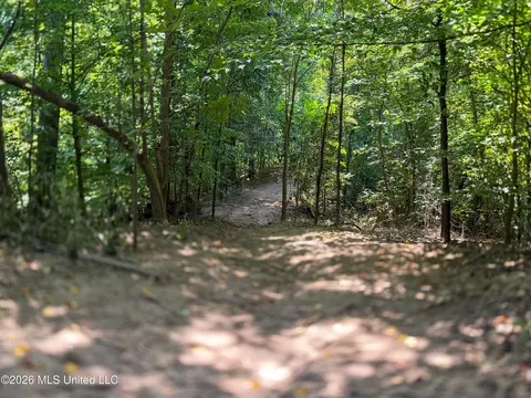 Tanyard Road, Hernando, MS 38632 photo 5