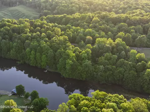 Tanyard Road, Hernando, MS 38632 photo 9