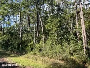 Beach Street, Ocean Springs, MS 39564