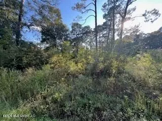 Persimmon Avenue, Ocean Springs, MS 39564