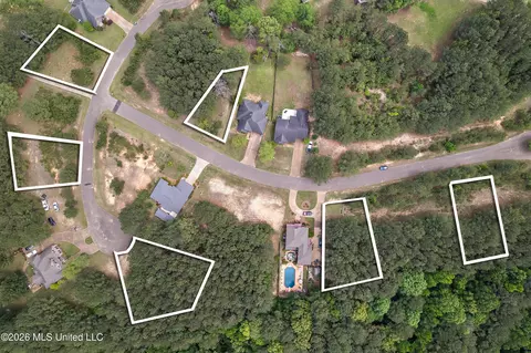 Eagle Cove, Carthage, MS 39051 photo 2