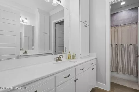 Bath - 244 Ironwood Pl, Brandon, MS 39042 photo 3 of 5