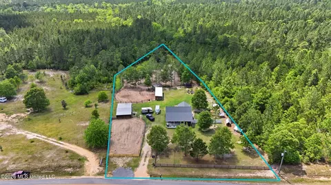 239 M P Parker Rd, Mchenry, MS 39561