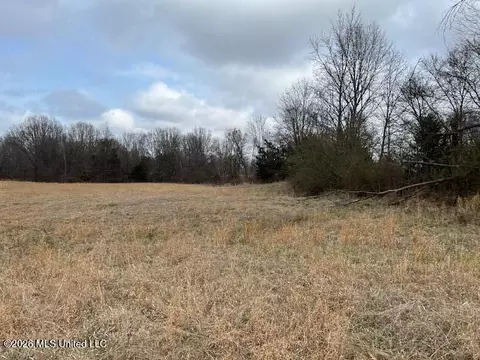 22 Willie Hibbler Rd, Senatobia, MS 38668