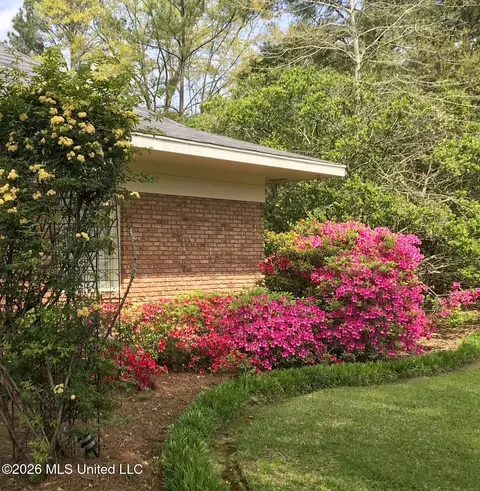 Exterior - 235 Brae Burn Dr, Jackson, MS 39211 photo 11 of 17