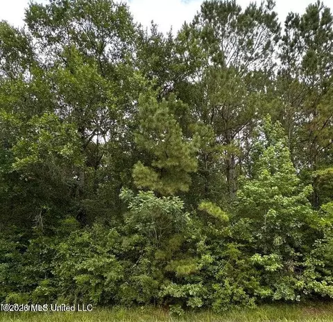 Mississippi 613, Moss Point, MS 39562