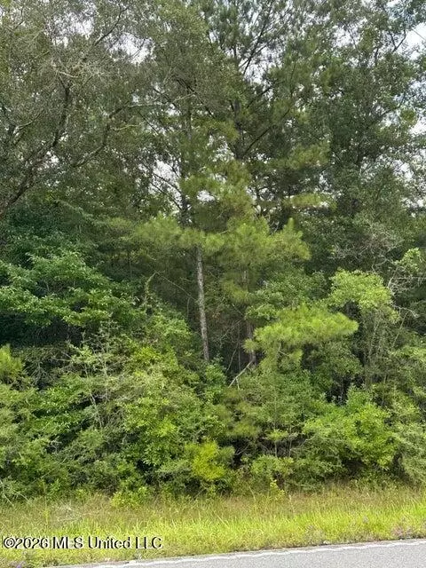 Mississippi 613, Moss Point, MS 39562 photo 2