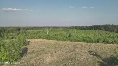 Ms-471, Brandon, MS 39047 photo 9