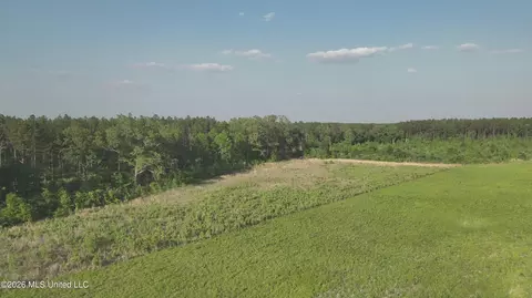 Ms-471, Brandon, MS 39047 photo 13