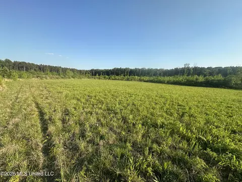 Ms-471, Brandon, MS 39047 photo 20