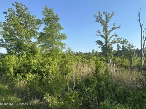 Ms-471, Brandon, MS 39047 photo 19