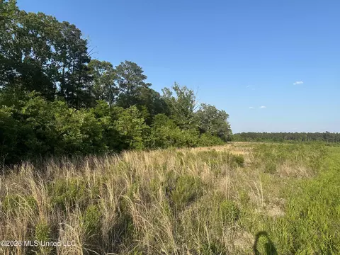Ms-471, Brandon, MS 39047 photo 18