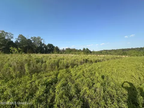 Ms-471, Brandon, MS 39047 photo 17