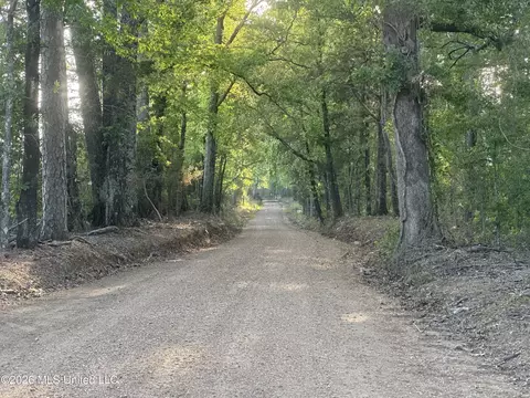 Ms-471, Brandon, MS 39047 photo 26