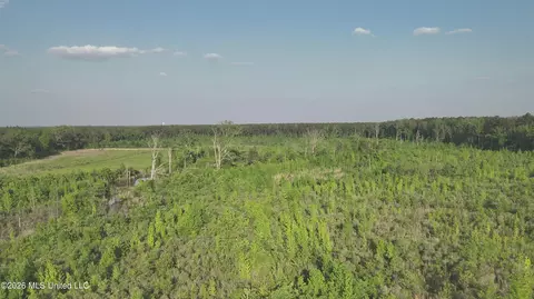 Ms-471, Brandon, MS 39047 photo 10