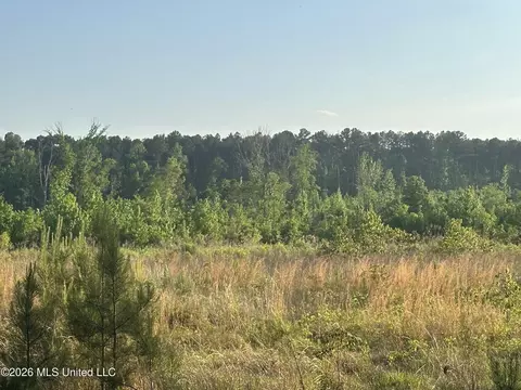 Ms-471, Brandon, MS 39047 photo 23