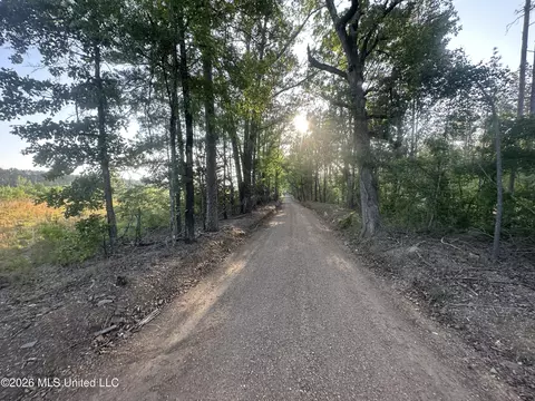 Ms-471, Brandon, MS 39047 photo 24