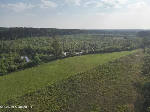 Ms-471, Brandon, MS 39047 photo 7