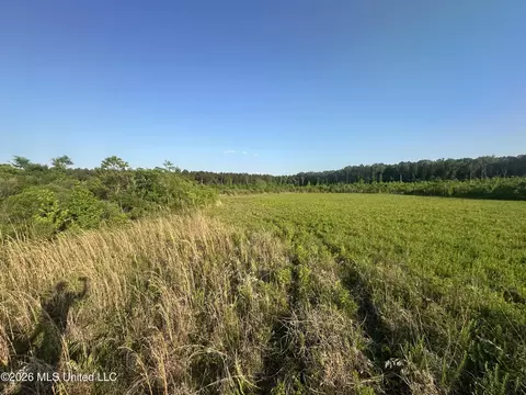 Ms-471, Brandon, MS 39047 photo 21