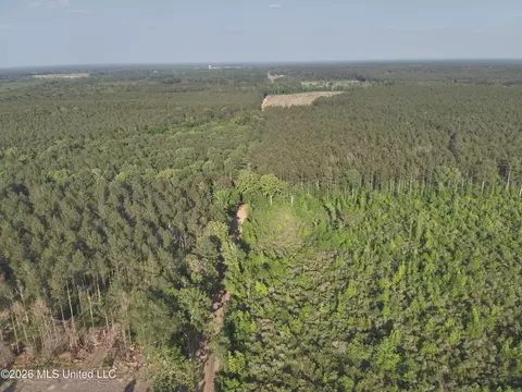 Ms-471, Brandon, MS 39047 photo 8