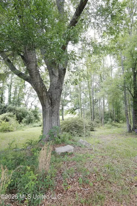 Exterior - 1024 Walker Ln, Summit, MS 39666 photo 5 of 7