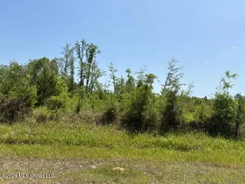 W Wire Road, Vancleave, MS 39565 photo 3