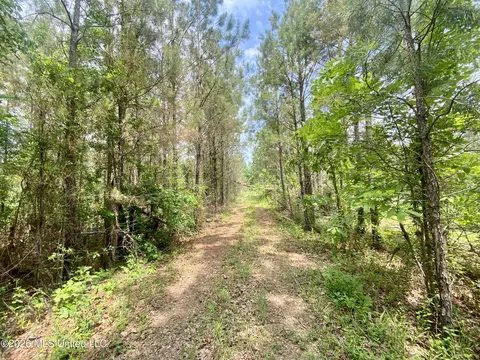 0 Henry Harris Rd, Utica, MS 39175
