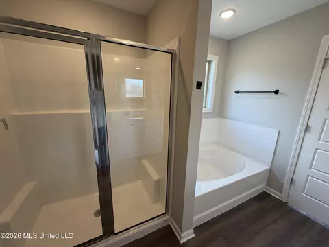 515 Stone Brook Pl, Brandon, MS 39042 photo 7