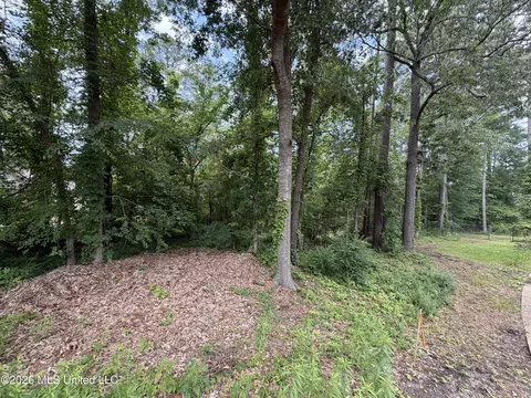 136 Plum Tree Rd, Brandon, MS 39047